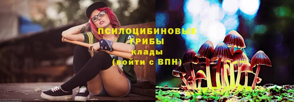 гидра Надым