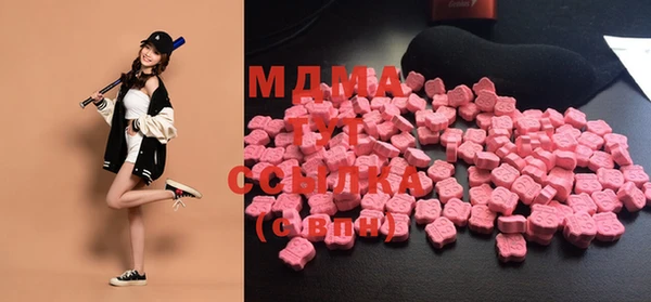 гидра Надым