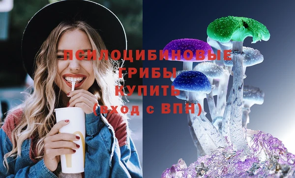 мдпв Навашино