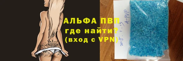 гидра Надым