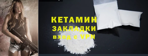 гидра Надым