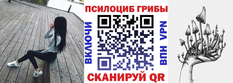 Купить  Плёс  Галлюциногенные грибы прущие грибы 